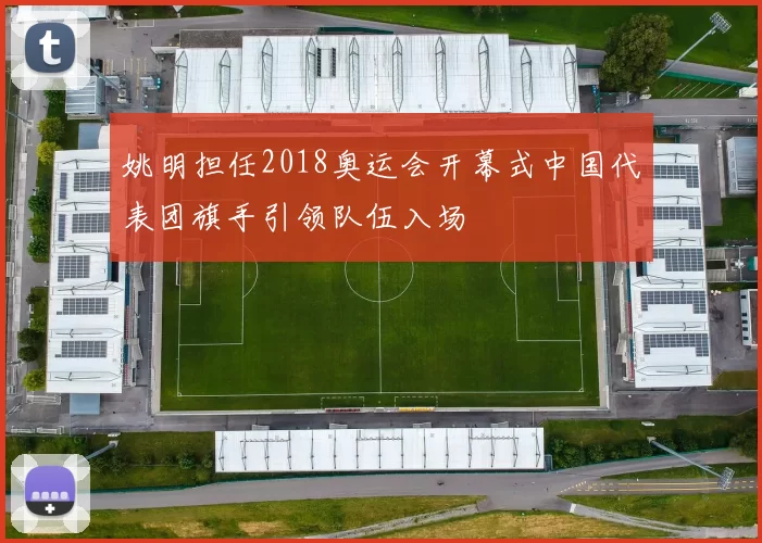 姚明担任2018奥运会开幕式中国代表团旗手引领队伍入场