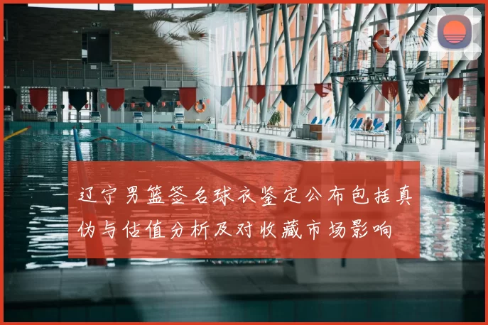 辽宁男篮签名球衣鉴定公布包括真伪与估值分析及对收藏市场影响