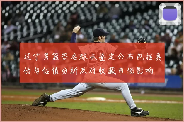 辽宁男篮签名球衣鉴定公布包括真伪与估值分析及对收藏市场影响