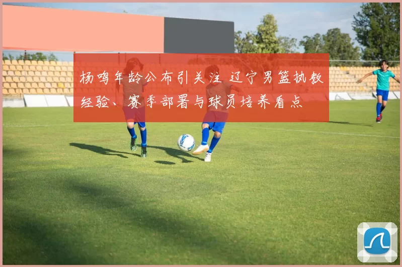 杨鸣年龄公布引关注 辽宁男篮执教经验、赛季部署与球员培养看点