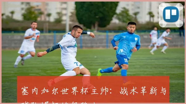 塞内加尔世界杯主帅：战术革新与球队崛起的领路人